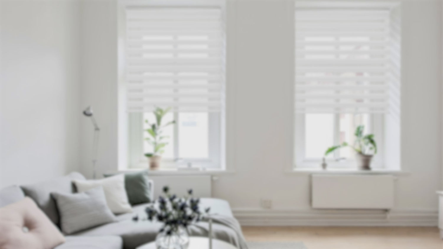 HOMEDEMO Doppelrollo Klemmfix